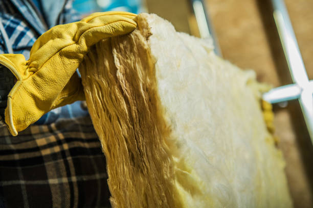 Best Geographic-Specific Insulation Services in Hometown, IL