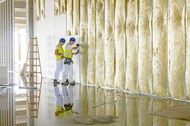 Best Geographic-Specific Insulation Services in Hometown, IL
